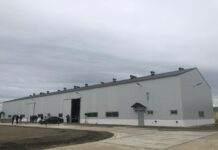 Comenzaron los trabajos para evaluar el rendimiento de la planta de tratamiento de Bahía Golondrina