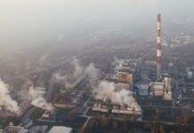 ¿Por qué se conmemora hoy el Día de la Conciencia Ambiental?