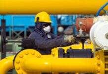 Total Austral acordó con el gobierno aumentar la cantidad de mano de obra local