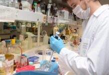 La OMS confirmó cuál fue el origen del coronavirus