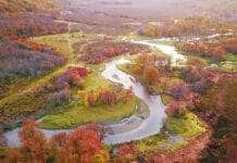 Naciones Unidas: Península Mitre es uno de los ecosistemas más importantes del mundo