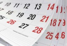 ¿Cuántos feriados quedan antes de fin de año?