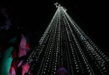 Cuáles son las calles afectadas por el Auto Encendido del Árbol