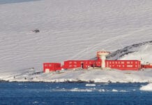 Ya hay 36 contagios en la Antártida chilena