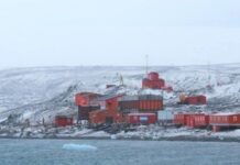 Terremoto en la Antártida: La Armada y la Fuerza Aérea, en alerta