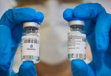 Científicos argentinos: De qué se trata y para qué sirve el suero equino que aprobó la ANMAT