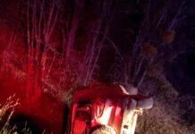 Despiste y vuelvo en Tolhuin