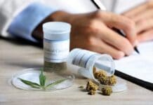 La próxima semana la Legislatura tratará la ley definitiva sobre el uso medicinal del Cannabis