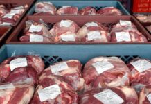 Cuáles son los precios para Tierra del Fuego de los siete cortes de carne dispuestos por Nación