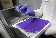 Detectan casos en la Provincia de la cepa de Manaos y la del Reino Unido