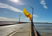 Abuso Sexual: El relato de la víctima de un ex presidente de la Cooperativa Eléctrica