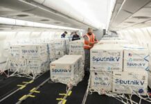 Llegaron al país más de 750 mil dosis de Sputnik V