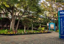 “Se está tratando de frenar estas cuestiones falsas y violentas de incitación colectiva”