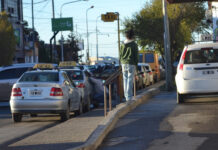 Día del taxista en pandemia: “El que vive del Taxi y se tiene que aislar, no come”