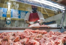 Continúa la feria de cortes populares en el Centro Esther Fadul