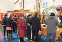 Este fin de semana llega “El mercado en tu barrio” a la Margen Sur