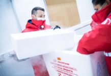 Casi 5 millones de vacunas llegarán a las provincias en 10 días