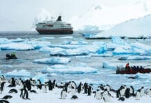 Lanzan la primera edición del festival antártico