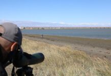Río Grande es finalista del premio Melina Mercouri de la UNESCO