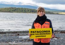 Prohibieron la salmonicultura en Tierra del Fuego
