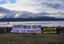 Greenpeace: “Con participación y organización se puede vencer incluso a industrias así de poderosas”