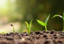 Se abre la inscripción para ser parte de “RGA Agro Productiva”