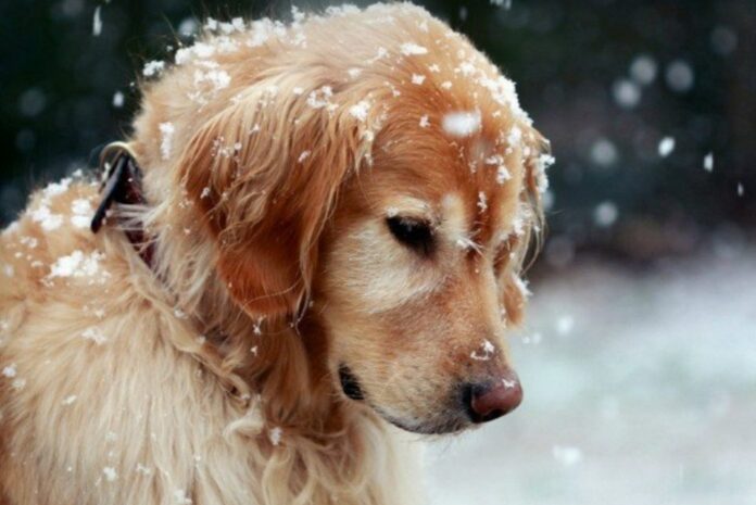 20200701_153945-960x642