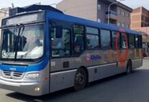 Citybus desmintió una noticia falsa y no se va de Río Grande