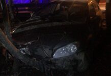 Estaban alcoholizados y terminaron contra los árboles