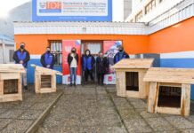 Entregan cuchas para animales en situación de calle