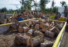 Tolhuin: Cuáles son los requisitos para ser beneficiarios de leña