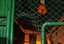 Encontraron los cortes de carne robados del matadero municipal