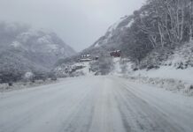 Cómo viene el clima para este fin de semana