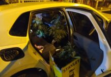 Amenazó a una joven con un arma y le descubrieron plantas de marihuana en el auto