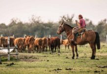 Nación lanza un plan para trabajadores rurales