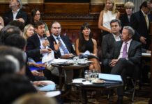 La oposición en el senado acompañará el reclamo de Argentina contra Chile