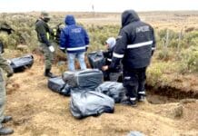 Incautan 9.500 paquetes de cigarrillos encerca de la frontera con Chile