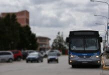 El transporte público será gratuito durante las elecciones