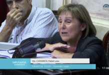 “Melella está llevando adelante la discusión por la prórroga del subrégimen en cada reunión con el Gobierno Nacional”