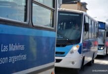 Volvió el colectivo a la Av. Alem: Los nuevos recorridos