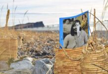 Bosques Nativos: “La mayoría de las leyes tienen que ver con los intereses de los señores feudales”