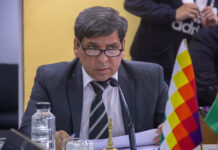 Pino habló de la denuncia pública sobre entrega de tierras a funcionarios