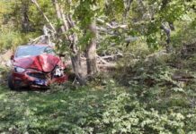 Chocaron contra un árbol en la Ruta J