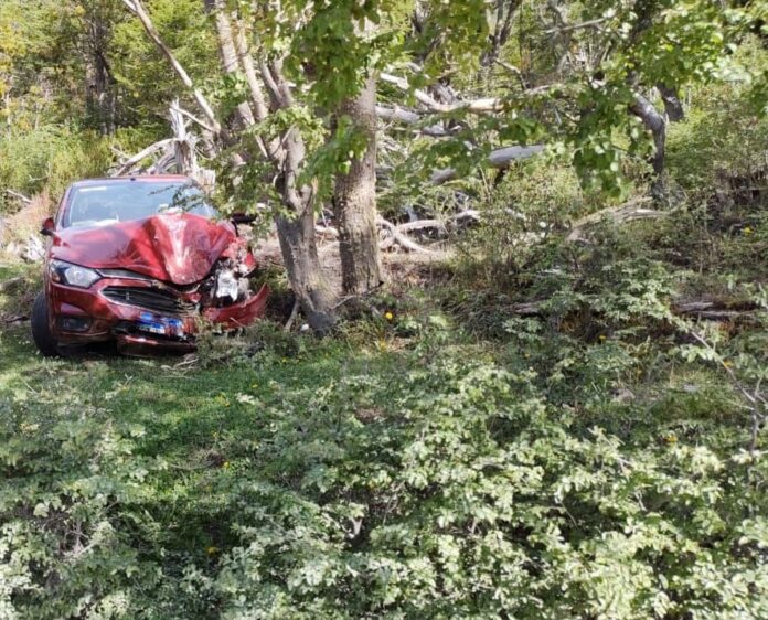 WhatsApp Image 2021-11-09 at 21.41.15