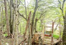 Gobierno desarma la construcción abandonada en Tierra Mayor