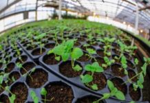 Se viene la Expo Agro de Río Grande
