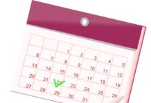 Cuáles son los feriados de noviembre