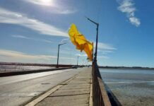 Denuncian a un hombre por abuso de al menos 5 nenas