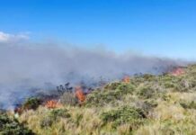 Investigan un incendio de 20 hectáreas en Estancia Sara