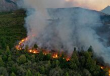 Declararon la emergencia ígnea en todo el país